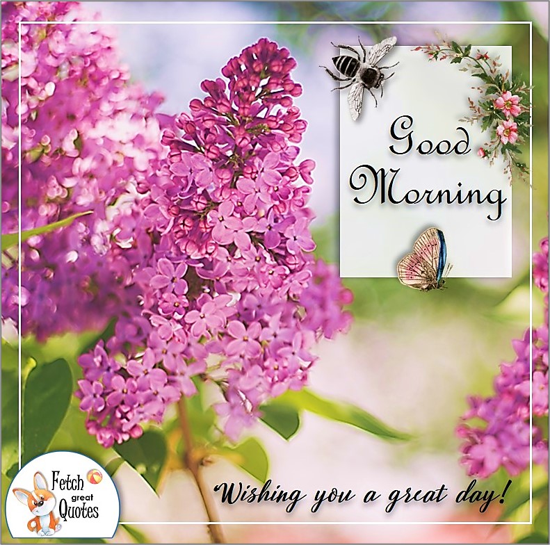 purple lilac good morning quote photo, Wishing you a great day quote photo