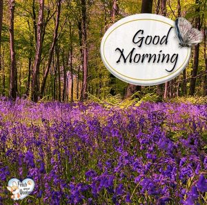 Good Morning – Fetch Great Quotes