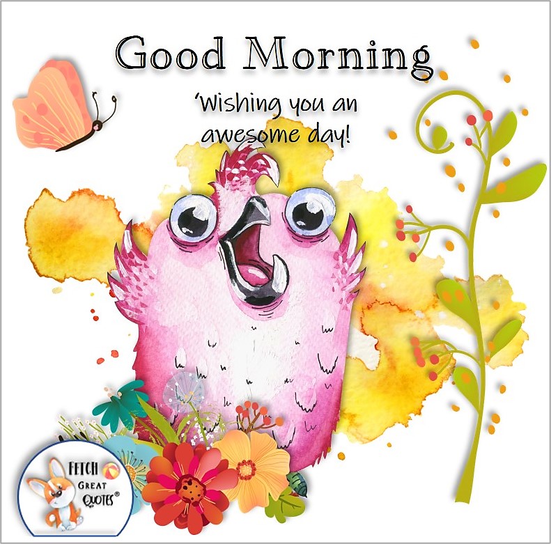 cute pink bird, cute bird photo, Wishing you an awesome day, Whimsical Good Morning photos, cute good morning photo, good morning photos, cartoon good morning photos, humorous good morning photos, funny good morning photos