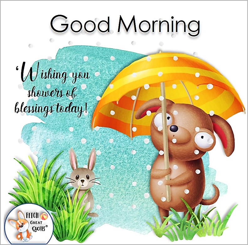 cute dog, cute rabbit, cute bunny, Wishing you showers of blessings today!, Whimsical Good Morning photos, cute good morning photo, good morning photos, cartoon good morning photos, humorous good morning photos, funny good morning photos