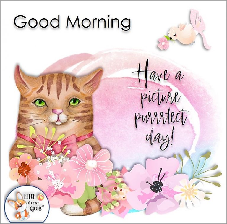 Whimsical Good Morning – Fetch Great Quotes