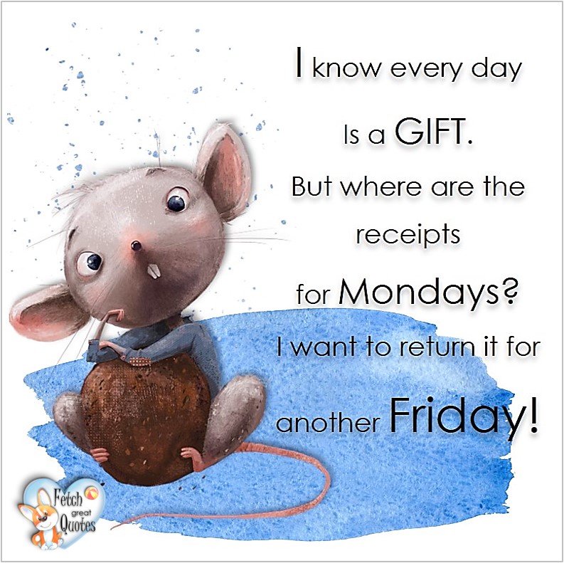 Free Friday Quotes, Happy Friday Photos, Friday photos, Fun Friday quotes, fun Friday photos, I know everyday is a gift. But where are the receipts for Mondays? I want to return it for another Friday!
