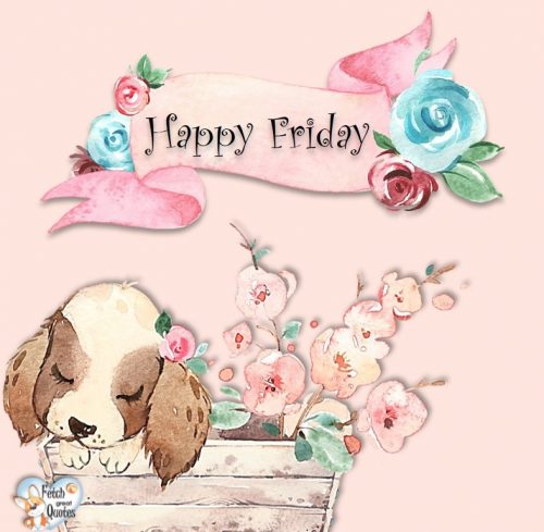 Cute Happy Friday Fetch Great Quotes Fridays are so awesome that every day in the week should be fridays. cute happy friday fetch great quotes