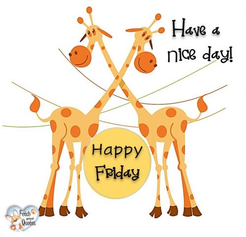 Giraffes Happy Friday photo