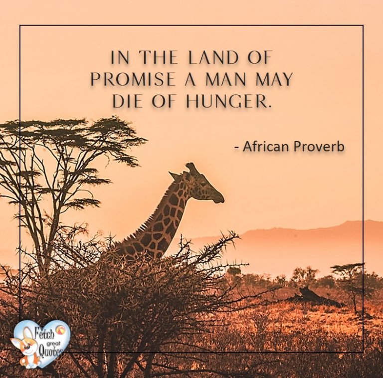 57 African Proverbs – Fetch Great Quotes