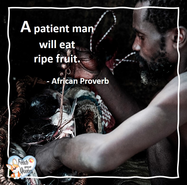 African Proverb, richly illustrated African Proverbs, beautiful African proverb, ancient wisdom, inspirational photo quote, African proverb photo quote, motivational quote, motivational photo quote, A patient man will eat ripe fruit. - African Proverb
