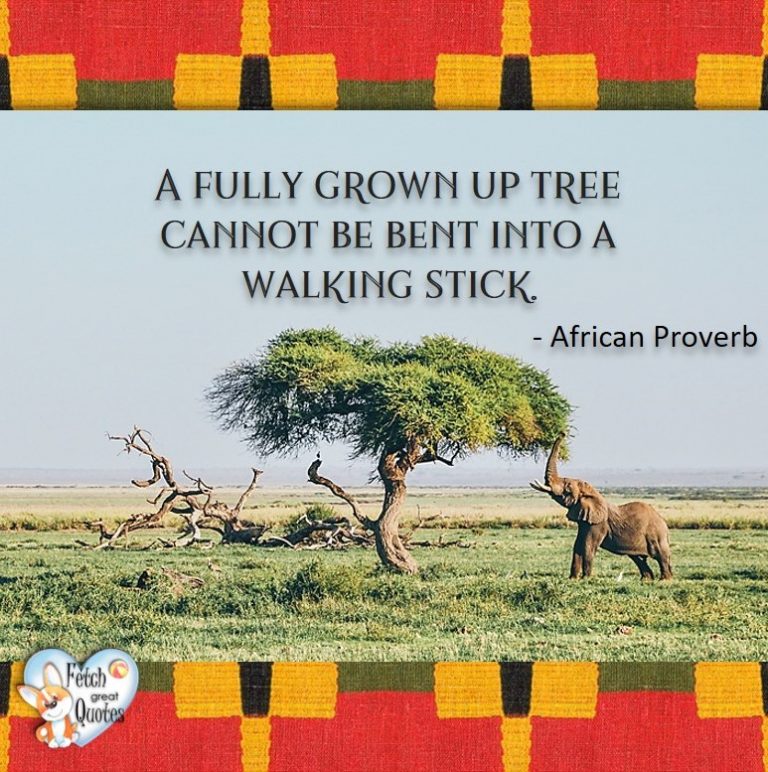 57-african-proverbs-fetch-great-quotes