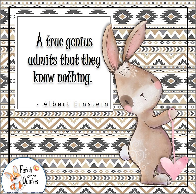 adorable bunny, cute bunny rabbit, aztec pattern, self-confidence quotes, "A true genius admits that they know nothing." - Albert Einstein quote