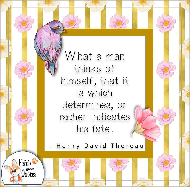 Confidence quotes, pink flowers, morning dove, gold stripes, confidence quote, self-confidence quote, "What a man thinks of himself, that it is which determines, or rather indicated his fate.", - Henry David Thoreau quote