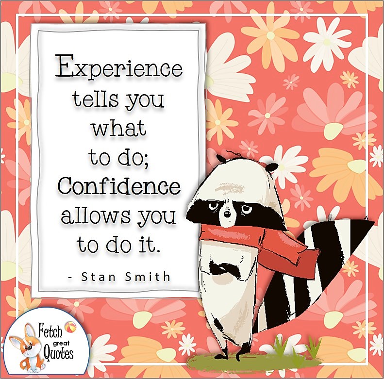 cute racoon, cute animal, confidence quote, self-confidence quote, "Experience tells you what to do; Confidence allows you to do it.", - Stan Smith quote