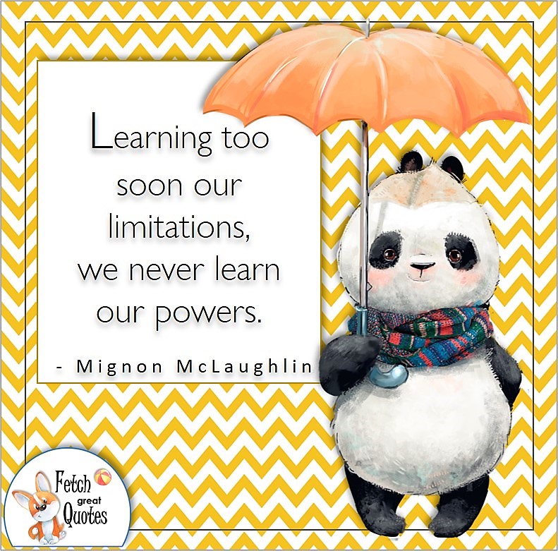 Cute panda and umbrella, self-confidence quote, Learning too soon our limitations, we never learn our powers. , - Mignon McLaughlin quote