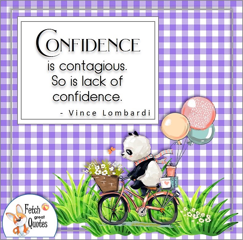 purple and gingham, self-confidence quote, panda bear on a bike, Confidence is contagious. So is lack of confidence., - Vince Lombardi quote
