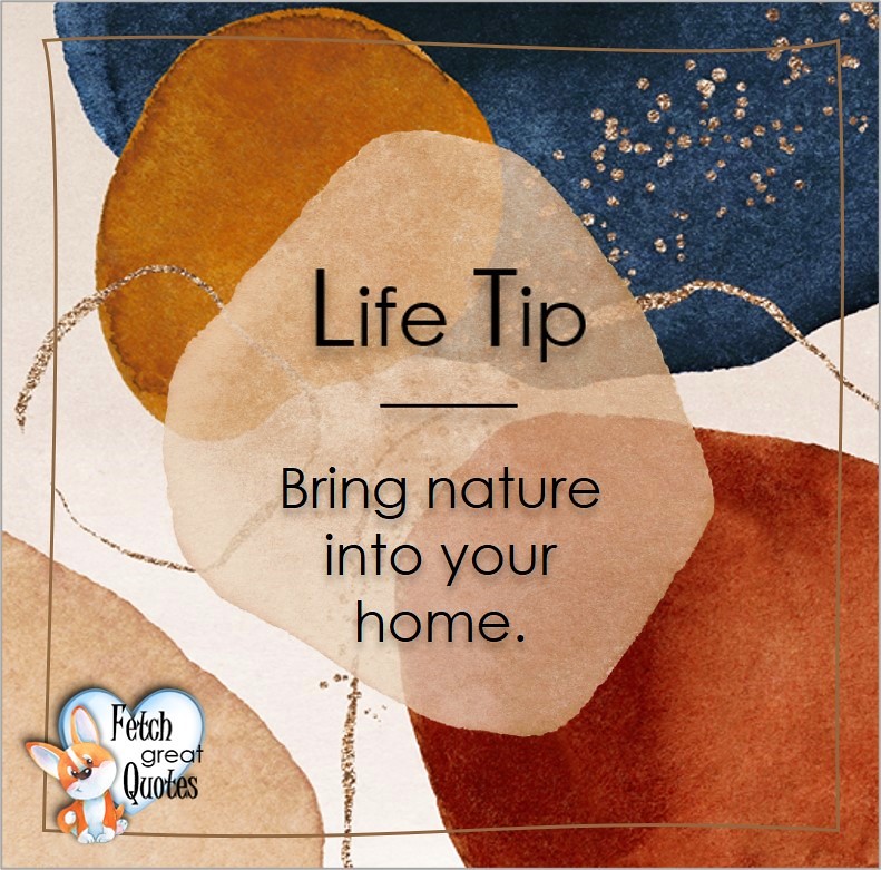 Bring nature into your home., Life Tips, Life Tip quotes, Life Tip photos, Life Tip photo quotes, inspirational quotes, inspirational photo quotes, motivational quotes, motivational photo quotes, quality of life photos, quality of life quotes, encouraging words, words of encouragement