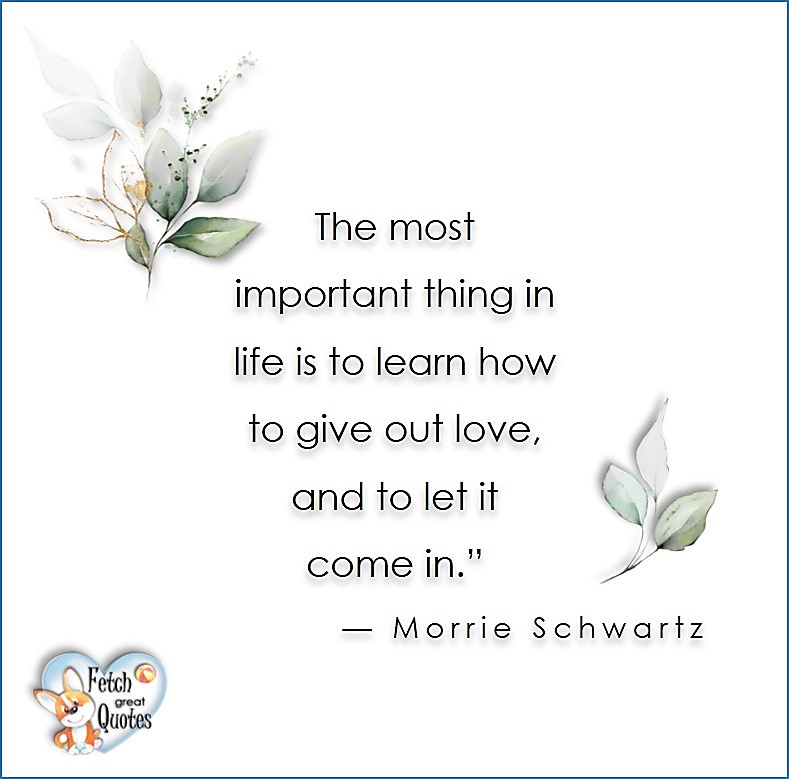 Love quotes, beautiful love quotes, love photos, love pics, Inspirational quotes, inspirational photos, inspirational pics, love is in the air, love is the way, daily dose of love, friendship, friendship quotes, quotes about friendship, The most important thing in life is to learn how to give out love and to let it come in -Morrie Schwartz