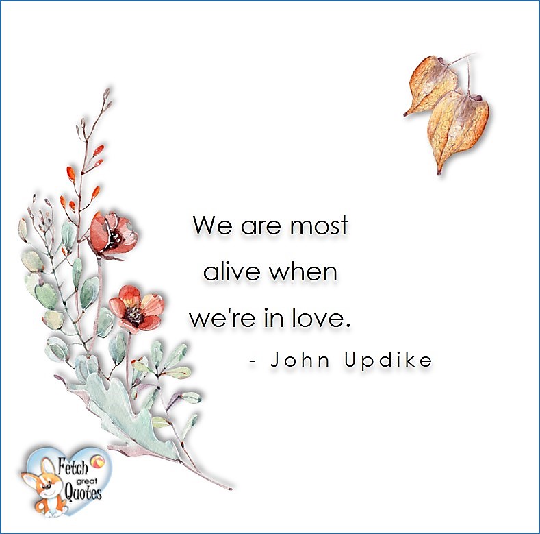 Love quotes, beautiful love quotes, love photos, love pics, Inspirational quotes, inspirational photos, inspirational pics, love is in the air, love is the way, daily dose of love, friendship, friendship quotes, quotes about friendship, We are most alive when we're in love. - John Updike