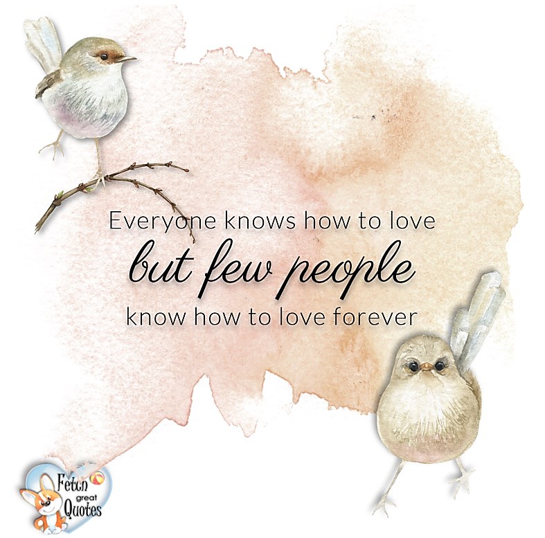 Love quotes, beautiful love quotes, love photos, love pics, Inspirational quotes, inspirational photos, inspirational pics, love is in the air, love is the way, daily dose of love, friendship, friendship quotes, quotes about friendship, Everyone knows how to love but few people know how to love forever