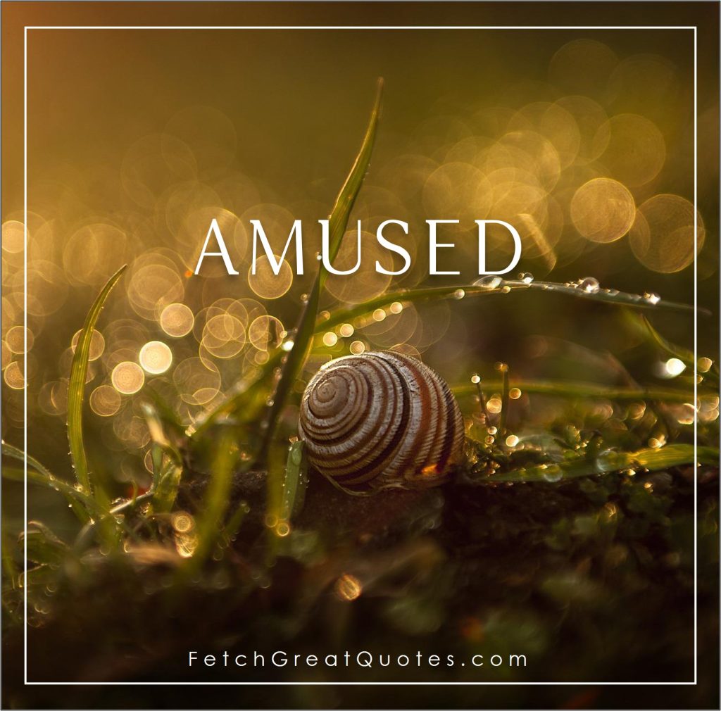 amused, Positive words, positive emotions, uplifting thoughts, word of the day,