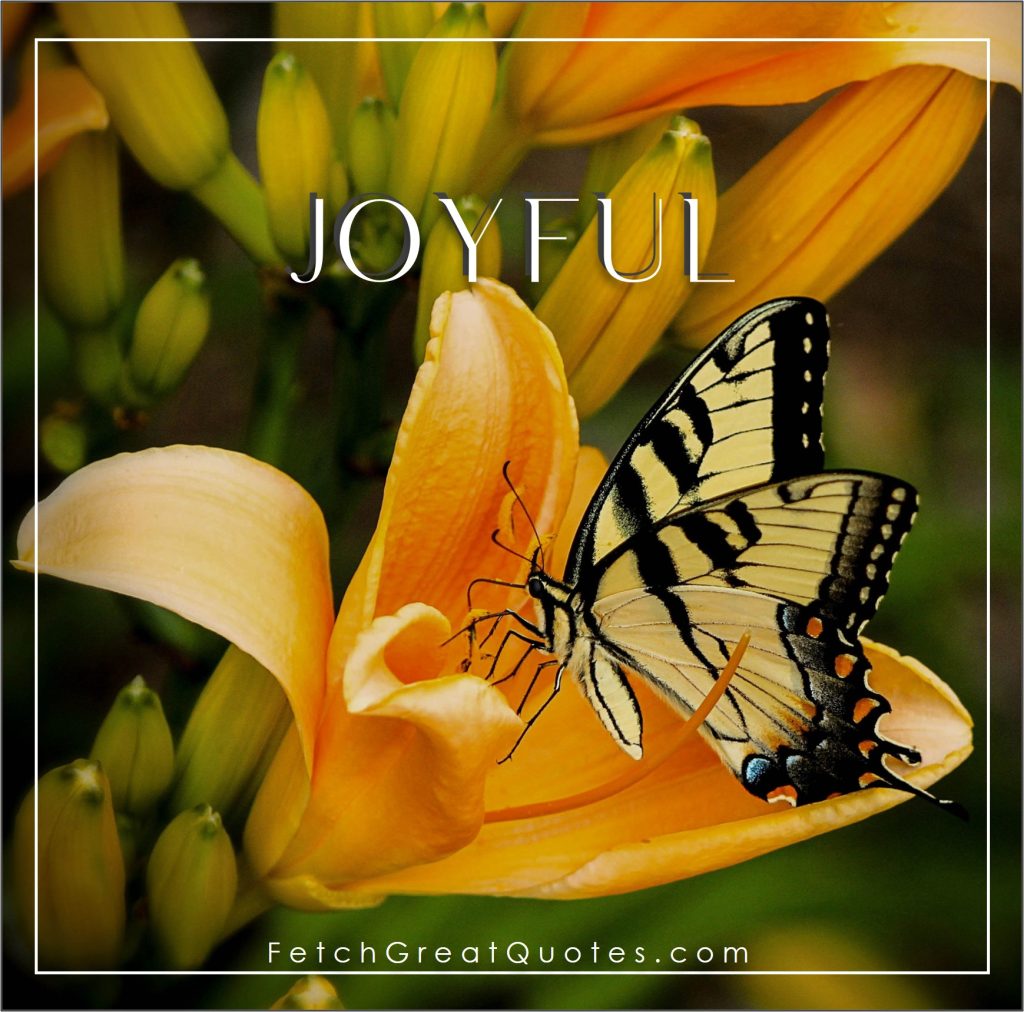 Positive words, positive emotions, uplifting thoughts, word of the day, joyful, butterfly photo