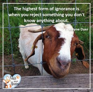 57 Wayne Dyer Quotes – Fetch Great Quotes
