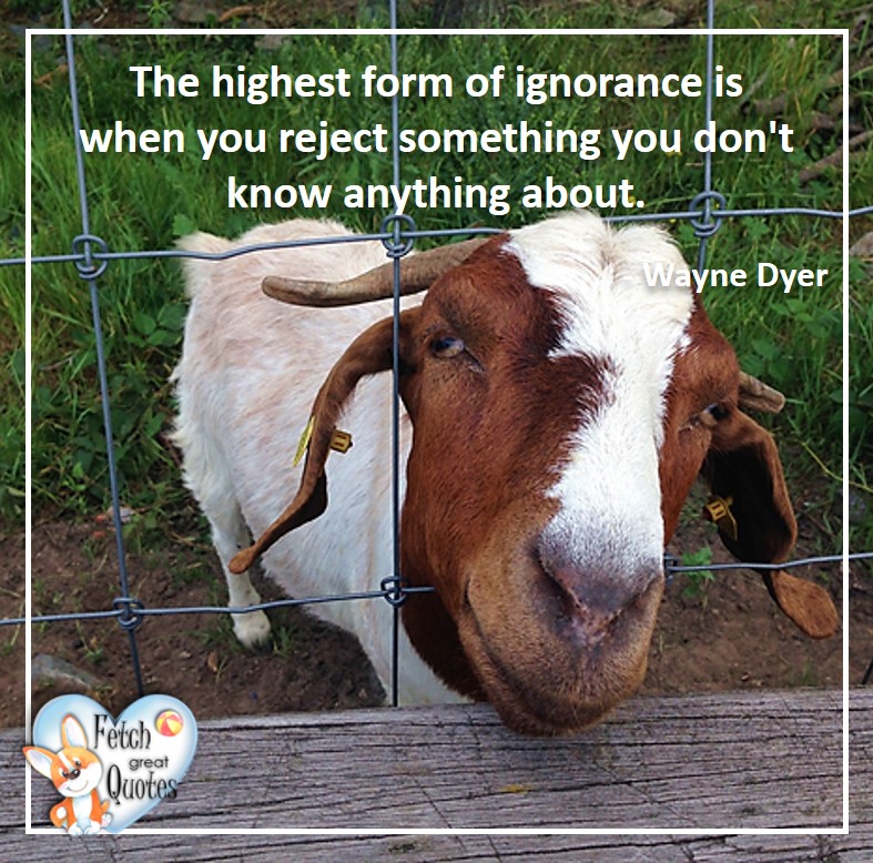 The highest ignorance is when you reject something you don't know anything about.- Wayne Dyer, Wayne Dyer Quotes, Self-Development, Spiritual Development, Inspirational Quotes, Inspirational photo, Motivational Quotes, Motivational Photos,