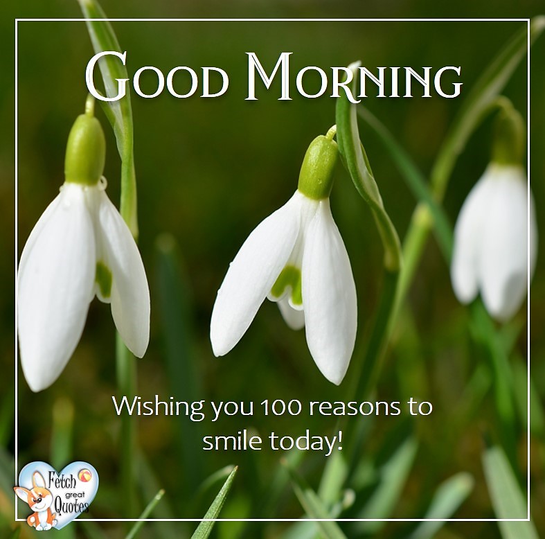 Spring Good Morning photo, Free Good Morning photo, Flower Photo, Spring Flowers, White flowers, Lilly of the Valley, Wishing you 100 reasons to smile today