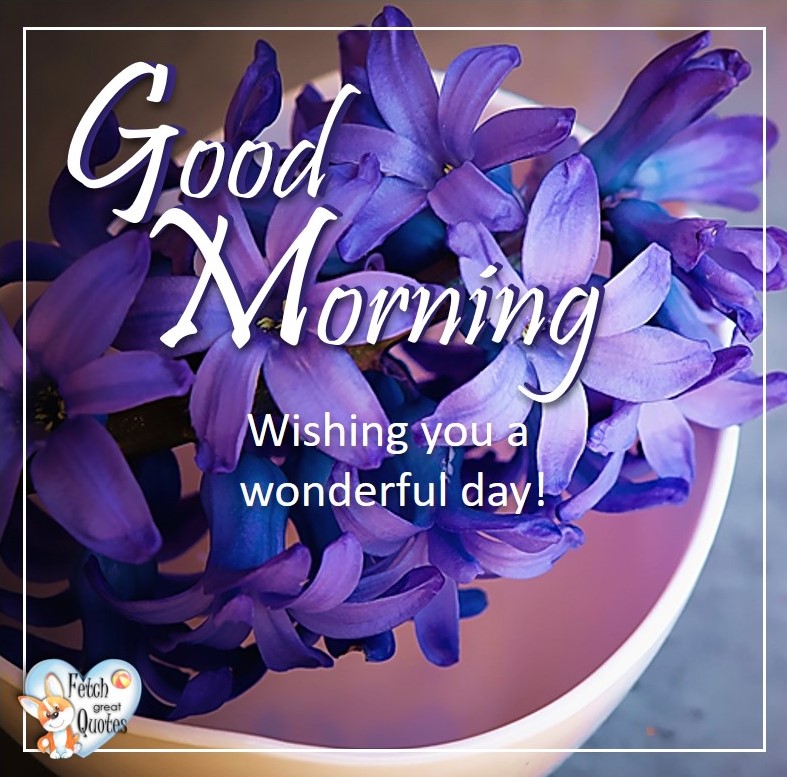 Purple flowers, purple hibiscus, Spring Good Morning photo, Free Good Morning photo, Flower Photo, Spring Flowers