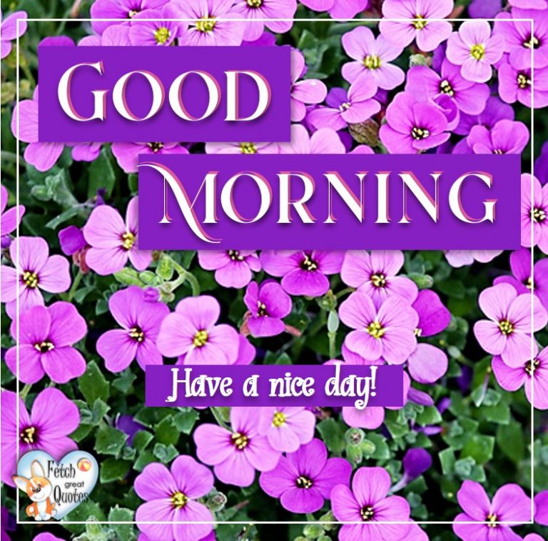 Spring Good Morning – Fetch Great Quotes