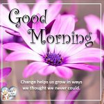 Spring Good Morning – Fetch Great Quotes