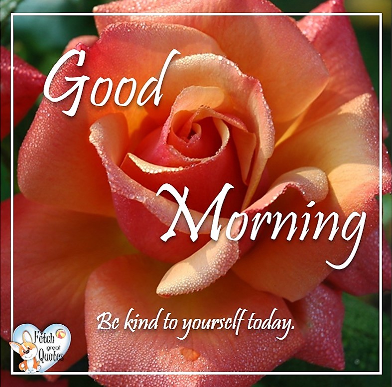Orange rose, Be kind to yourself today, Spring Good Morning photo, Free Good Morning photo, Flower Photo, Spring Flowers