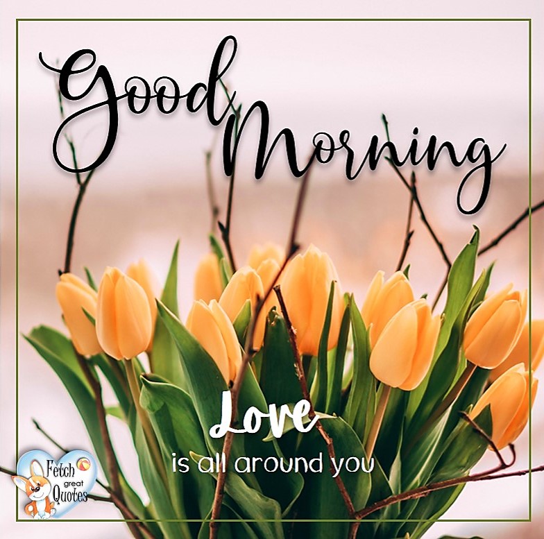 Spring Good Morning photo, Free Good Morning photo, Flower Photo, Spring Flowers, yellow tulips, Love is all around you