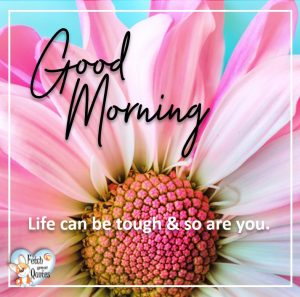 Spring Good Morning – Fetch Great Quotes