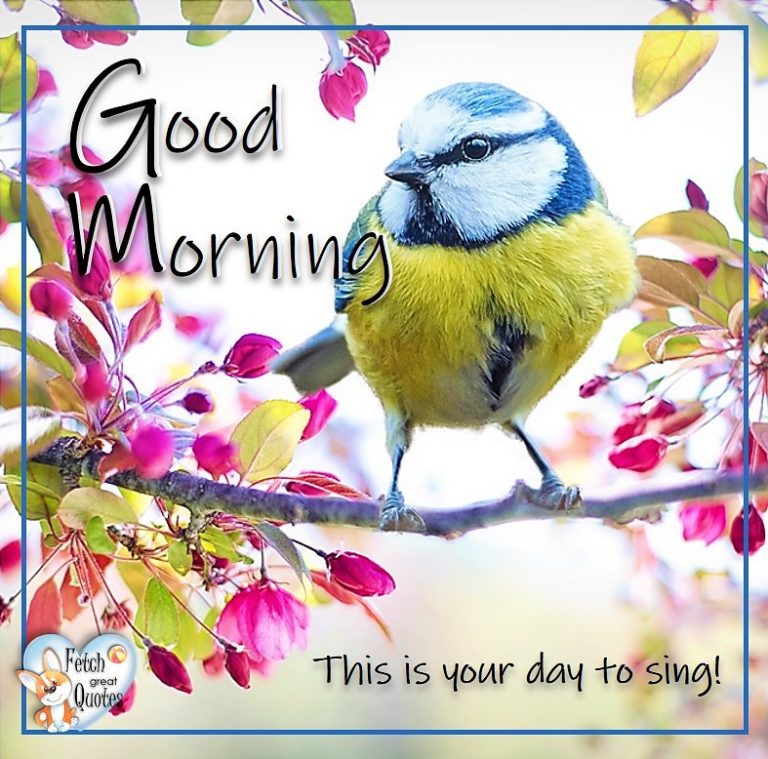 Spring Good Morning – Fetch Great Quotes