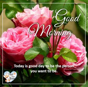 Spring Good Morning – Fetch Great Quotes