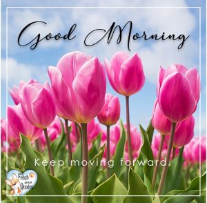 Spring Good Morning – Fetch Great Quotes