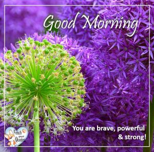 Spring Good Morning – Fetch Great Quotes