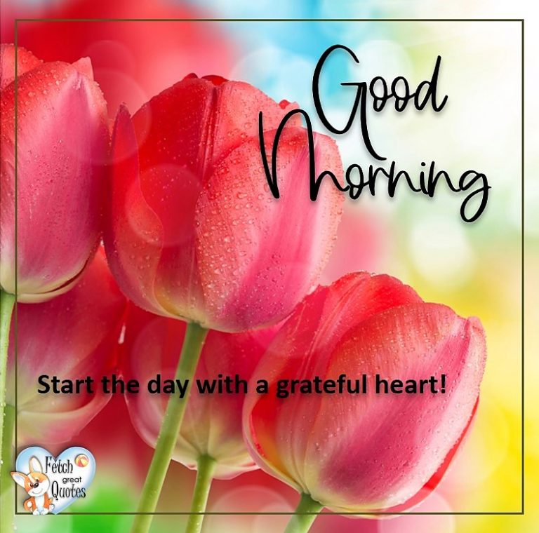 Spring Good Morning – Fetch Great Quotes